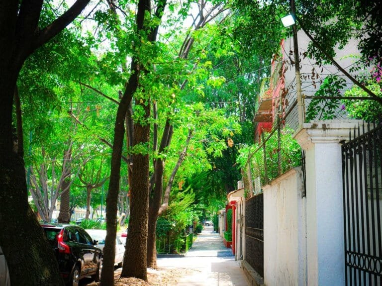 Calle arbolada de Polanco